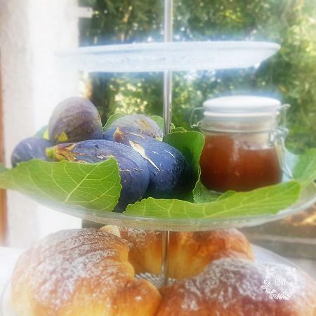 B&B Blanda Maratea Eksteriør bilde