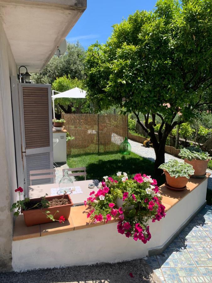 B&B Blanda Maratea Eksteriør bilde